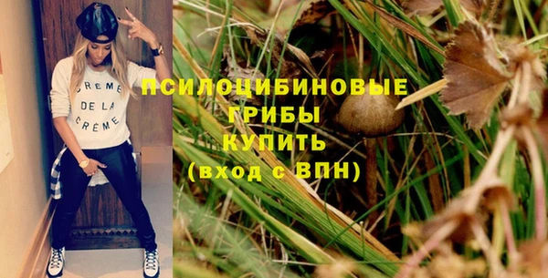 амф Володарск