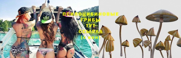 экстази Волоколамск