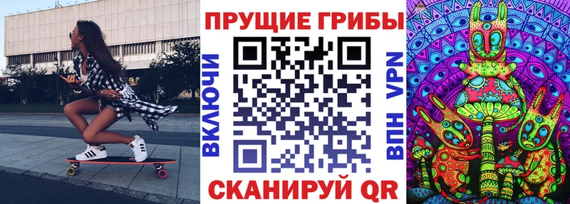 дарк нет как зайти  Комсомольск-на-Амуре  Галлюциногенные грибы MAGIC MUSHROOMS 